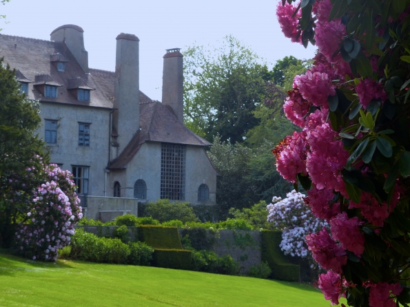 Ecrin de rhododendrons